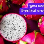 ড্রাগন ফলের উপকারিতা ও অপকারিতা (2)